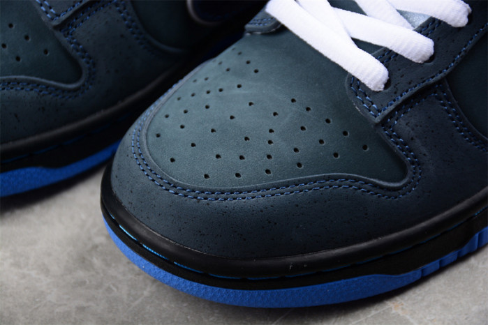 nike dunk sb low blue lobster 313170-342