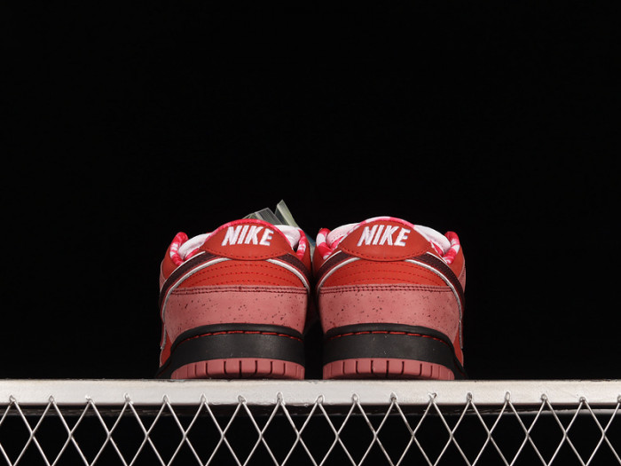 nike sb dunk low concepts red lobster 313170-661