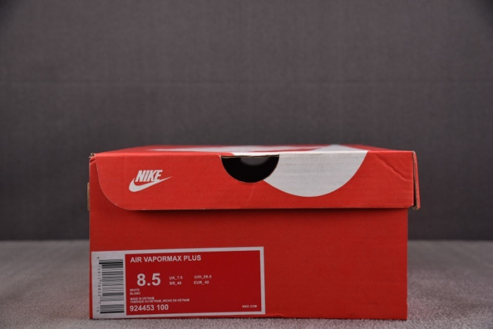 NIKE AIR VAPORMAX Plus 924453-100