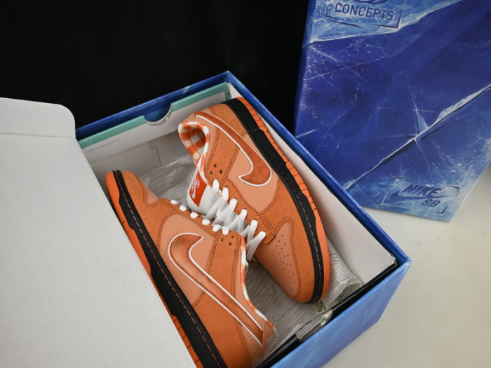 concepts x nike sb dunk low "orange lobster" fd8776-800