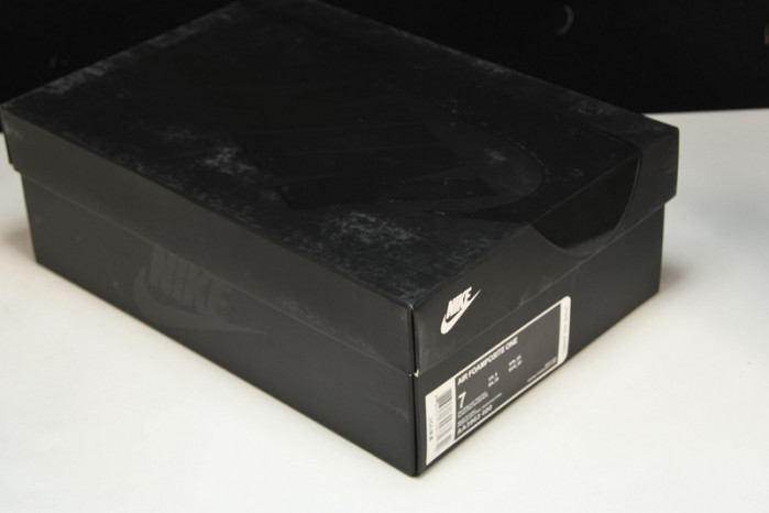 nike air foamposite one obsidian glitter aa3963-400