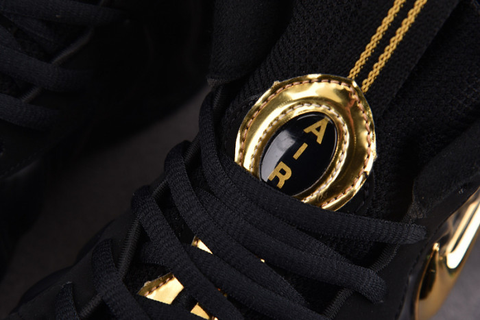 Nike Air Foamposite Pro “Black/Metallic Gold” 624041-009