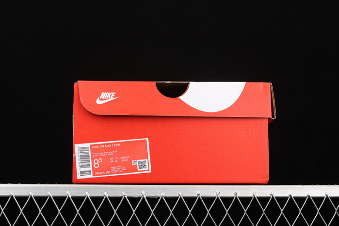 nike air max 1 spiral sage db5074-100