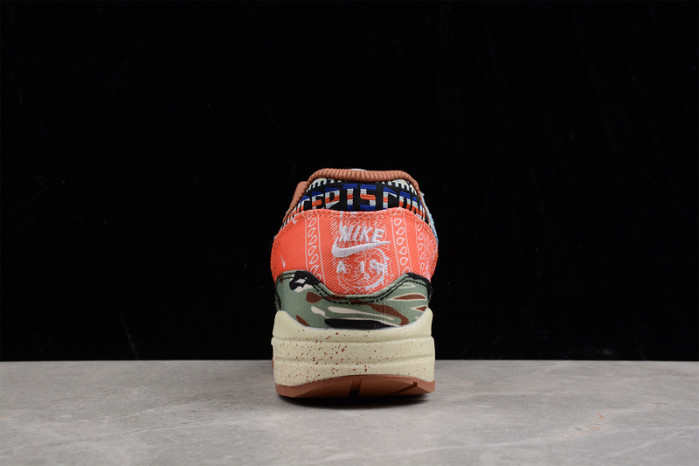 nike air max 1 sp concepts heavy - dn1803-900