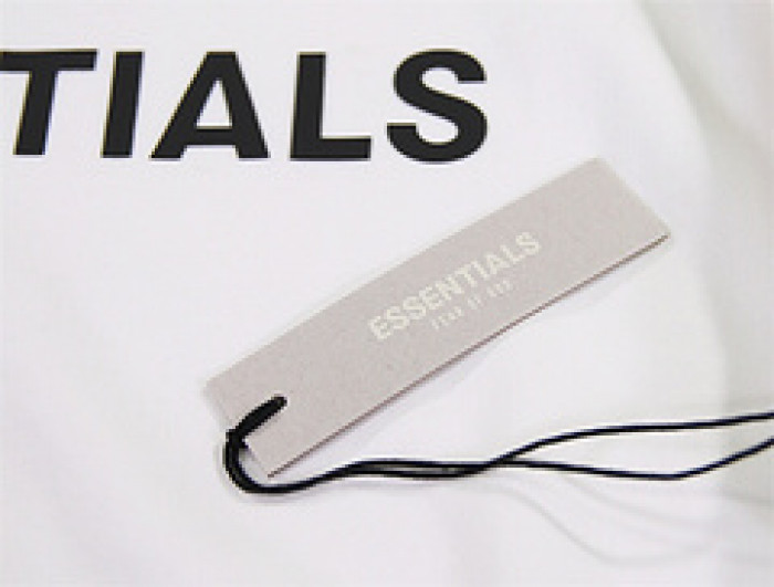 essentials hoodie h011